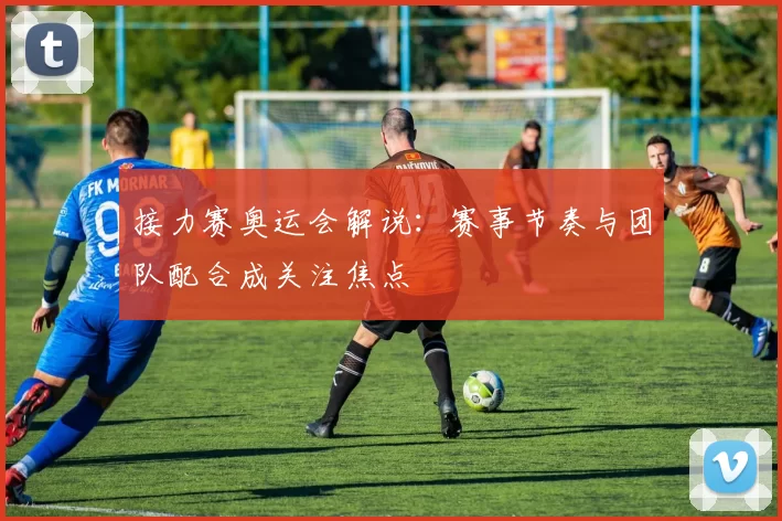接力赛奥运会解说:赛事节奏与团队配合成关注焦点