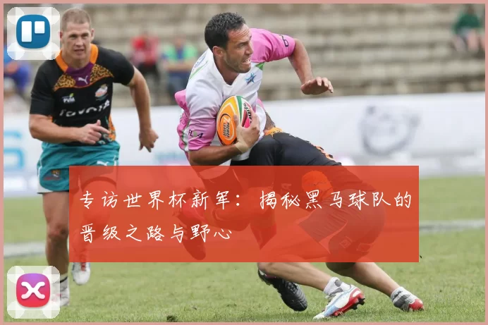 专访世界杯新军：揭秘黑马球队的晋级之路与野心