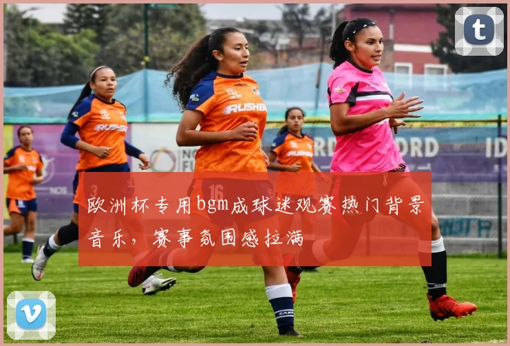 欧洲杯专用bgm成球迷观赛热门背景音乐,赛事氛围感拉满