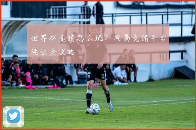 世界杯竞猜怎么玩？网易竞猜平台玩法全攻略