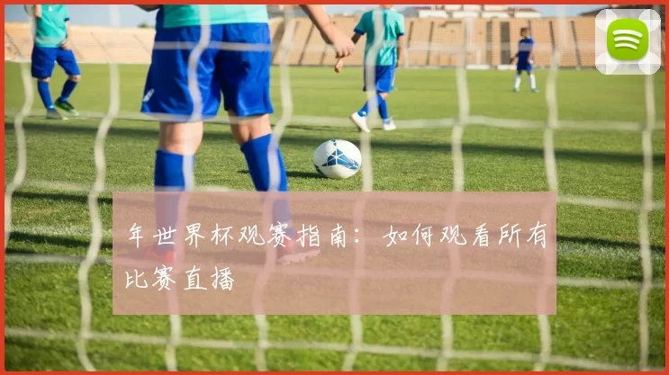 年世界杯观赛指南：如何观看所有比赛直播